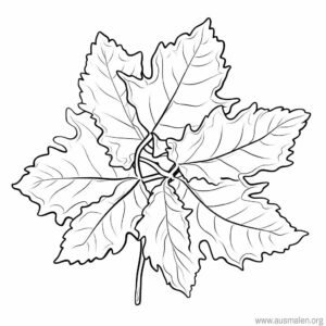 ausmalbild-blatt