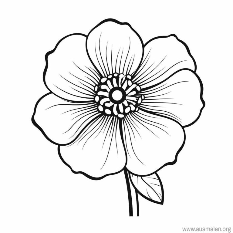  Ausmalbilder Blumen zum Ausdrucken - Kostenlose Malvorlagen Motiv 