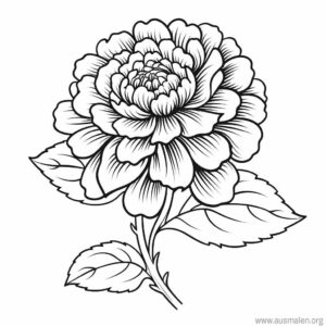 ausmalbild-rose-1