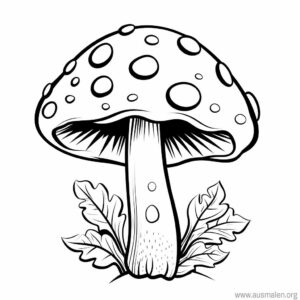 pilz
