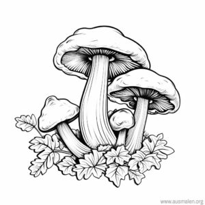 pilze