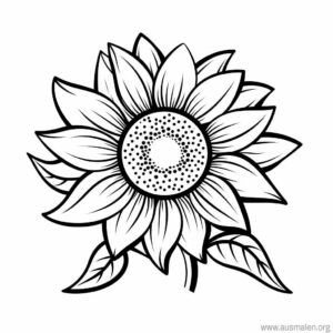 sonnenblume